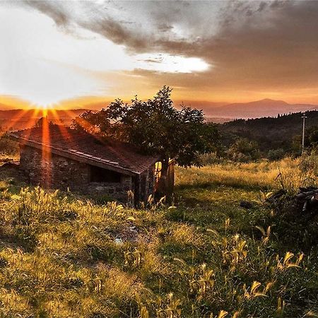 Fattoria La Tavernuzza Grassina Dış mekan fotoğraf