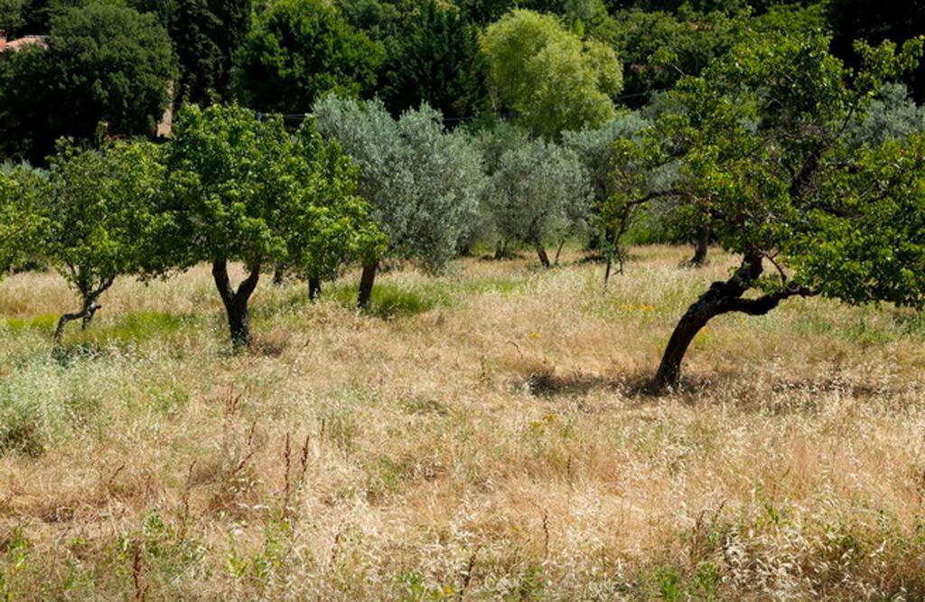 Fattoria La Tavernuzza Grassina Oda fotoğraf