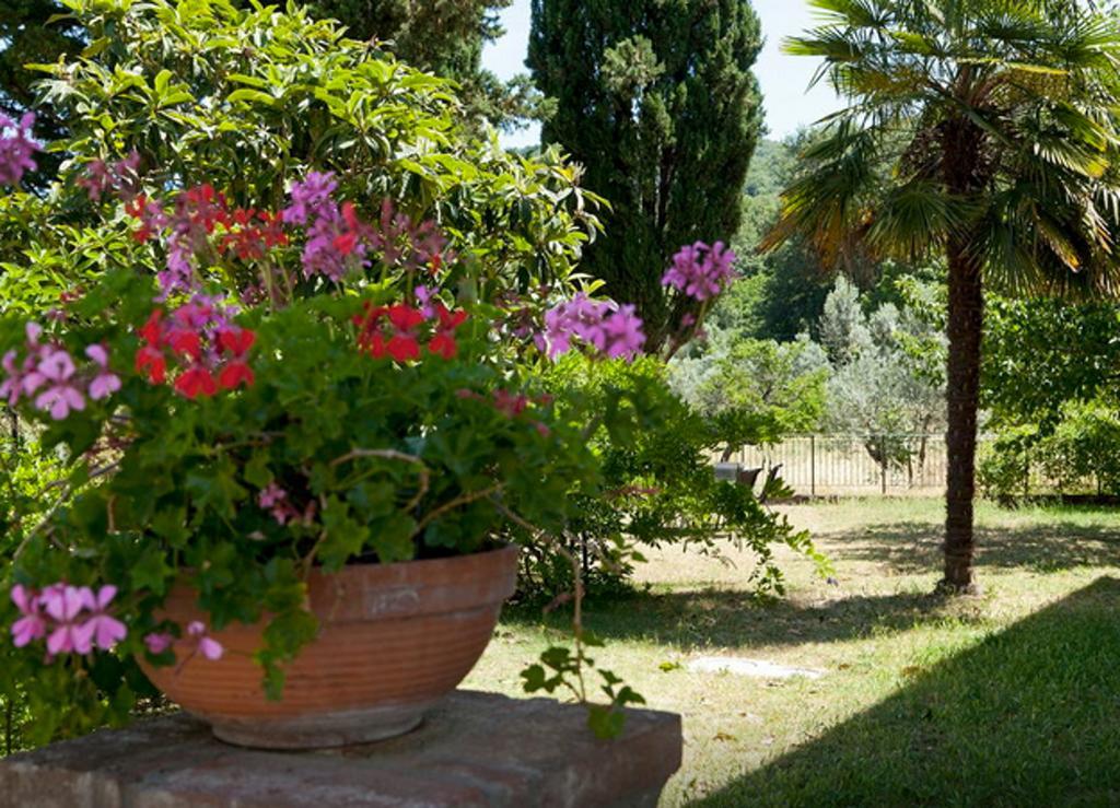 Fattoria La Tavernuzza Grassina Oda fotoğraf