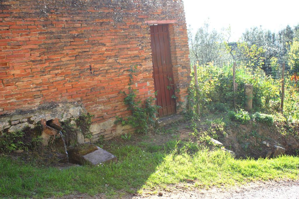 Fattoria La Tavernuzza Grassina Dış mekan fotoğraf