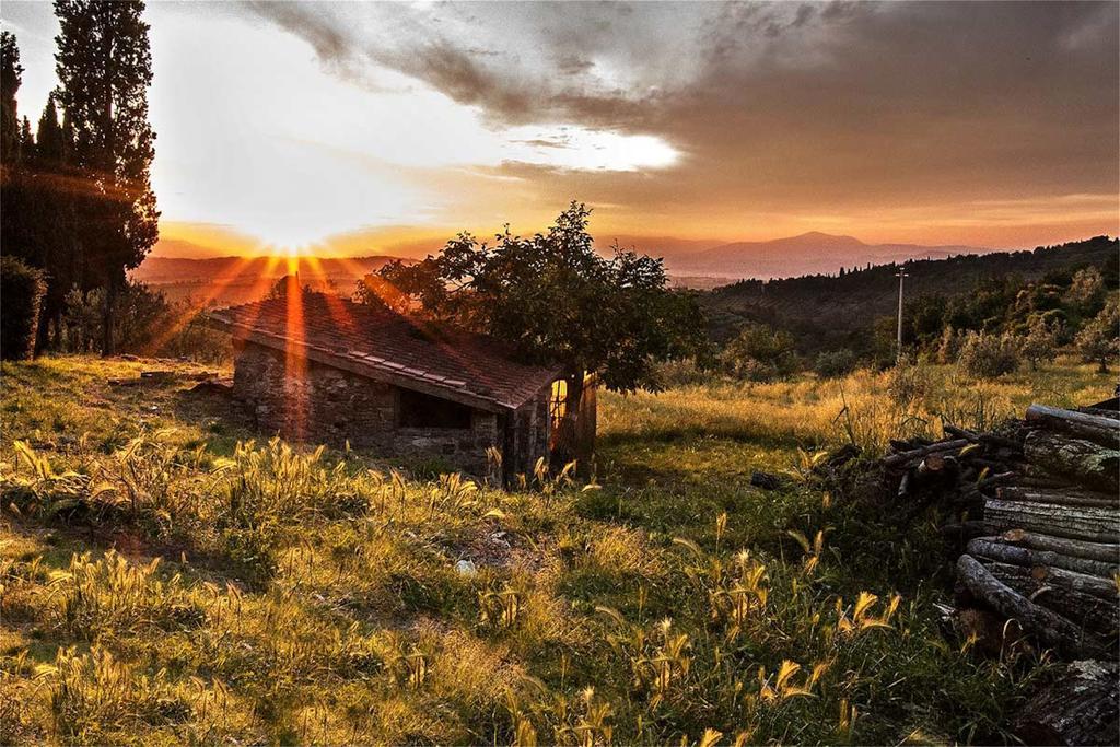 Fattoria La Tavernuzza Grassina Dış mekan fotoğraf